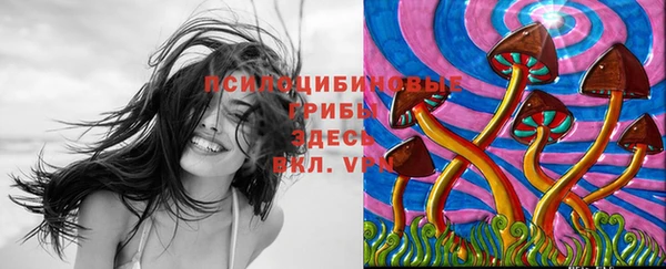 MDMA Premium VHQ Арсеньев