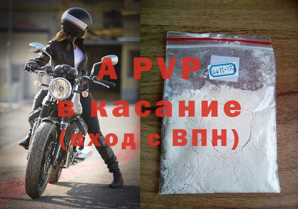 молекула духа Новозыбков