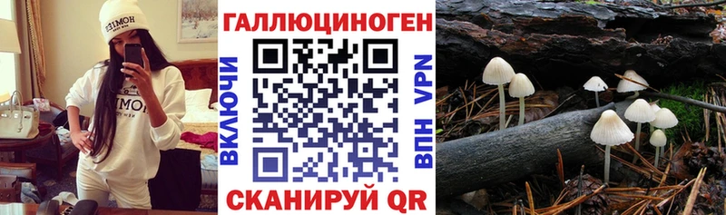 где купить наркоту  Кизел  Псилоцибиновые грибы Psilocybine cubensis 